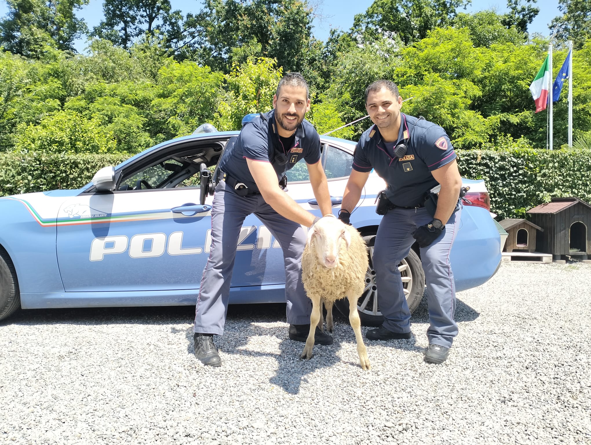 Pecora in tangenziale crea panico tra gli automobilisti